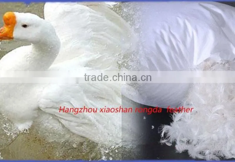 Wholesale White Goose Feather Quilt