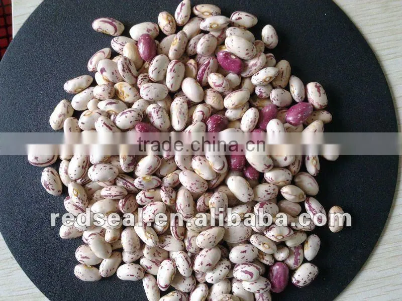 Round shape light speckled kidney beans