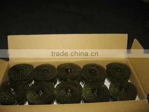 common nails / roofing nails / coil nail ( MANUFACTURER )