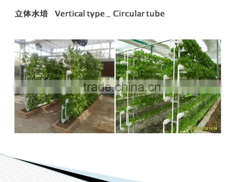 Greenhouse Hydroponics garden for vegetables