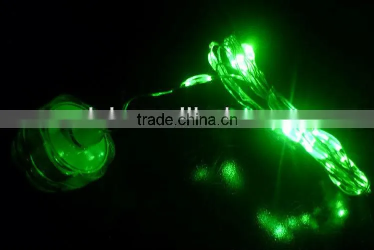 CR2032 Battery Operated Warm White LED Submersible Vine Light