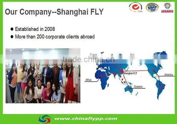 Shanghai FLY 175mic reverse printing backlit PET Film for light box