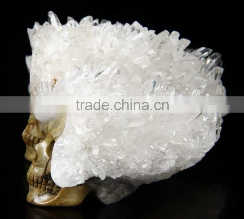 Western New design crystal Skull model for sale