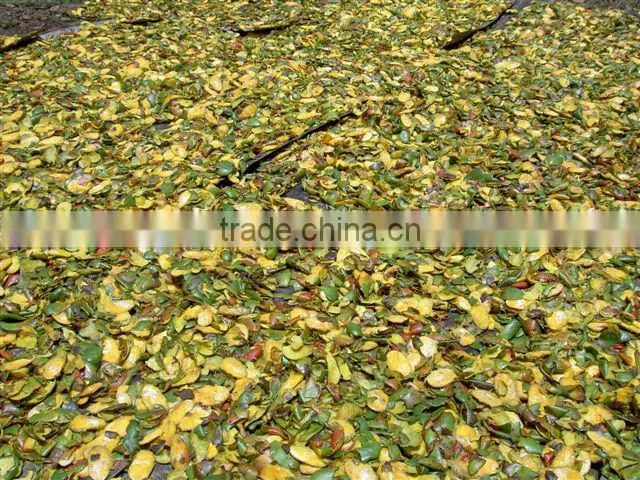 complete set of mango juice production plant