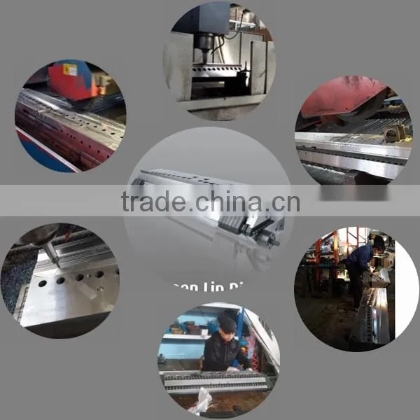 APET sheet die extrusion die