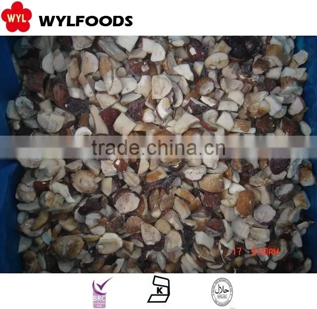 china good price frozen Boletus edulisfrozen mushroom