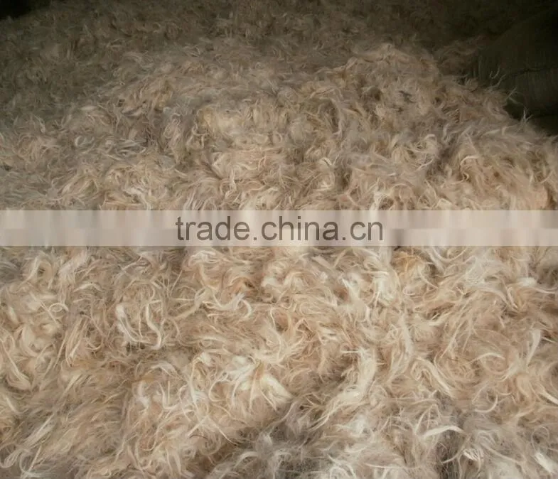 cotton wool rolls making machine/sheep wool combing machine