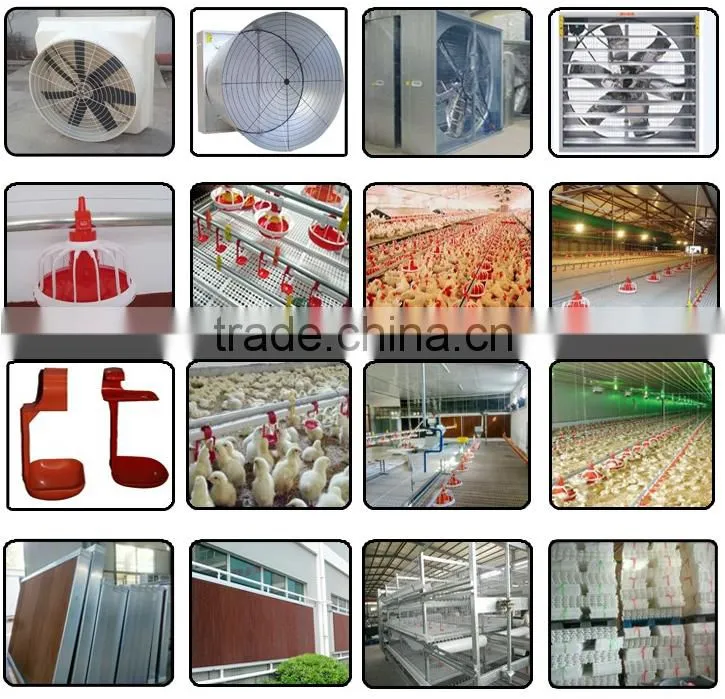 automatic rearing breeders chicken farm equipment