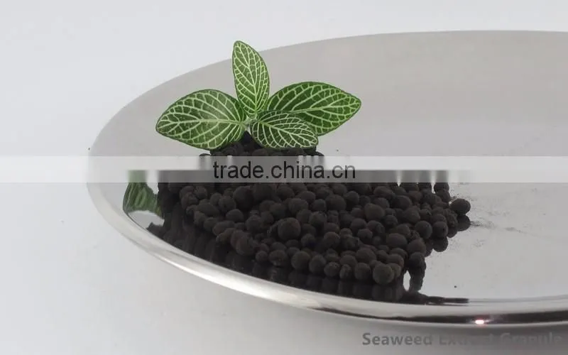 Growing agent seaweed extract fertilizer, 100% pure nature seaweed extract granule