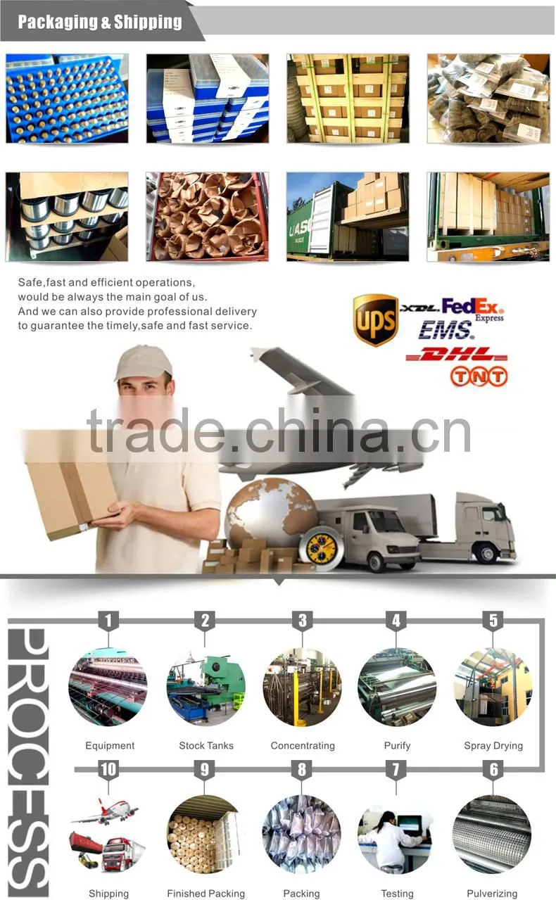Perforated Metal Mesh