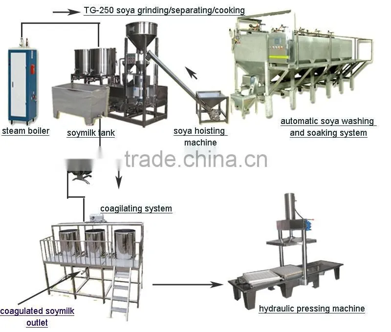 TG-250 Shanghai Automatic tofu machine / Tofu making machine