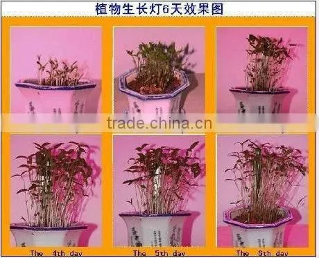 Full spectrum led grow light,efficient integrated led ,new grow light 200w led grow light for vegetable growing