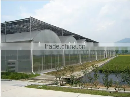 Low Cost Classic Plastic Greenhouse Film for Sale