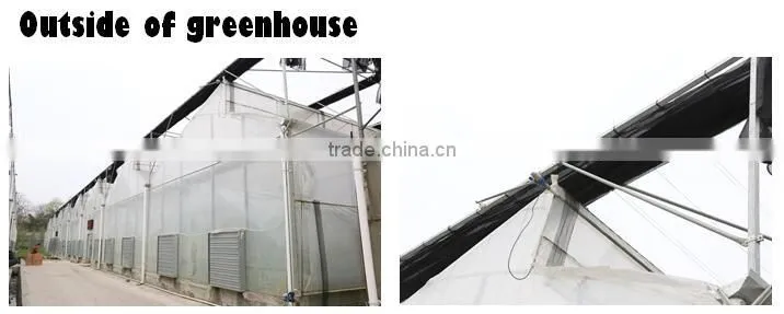 Plastic green houses for agriculture