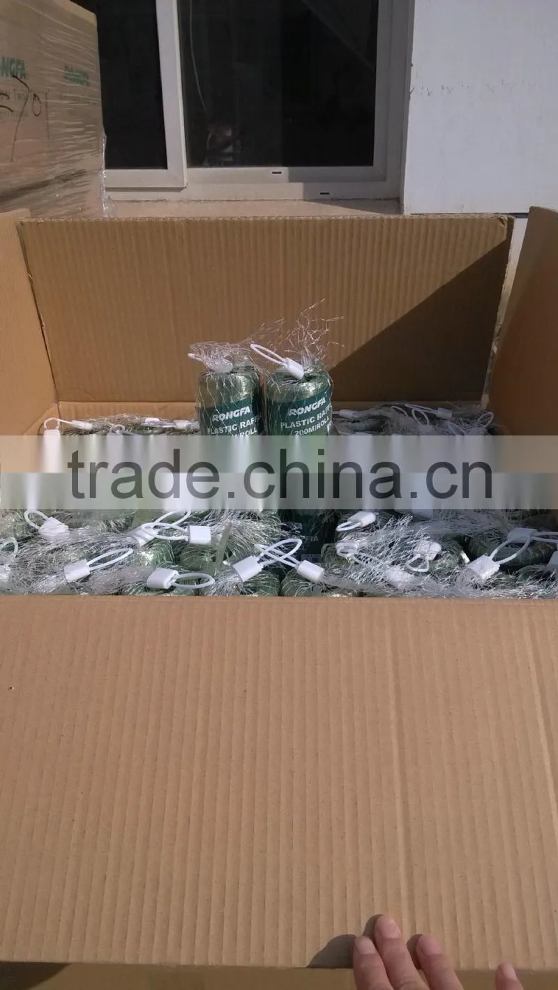 100g 200g 250g Fresh PP Plastic Raffia