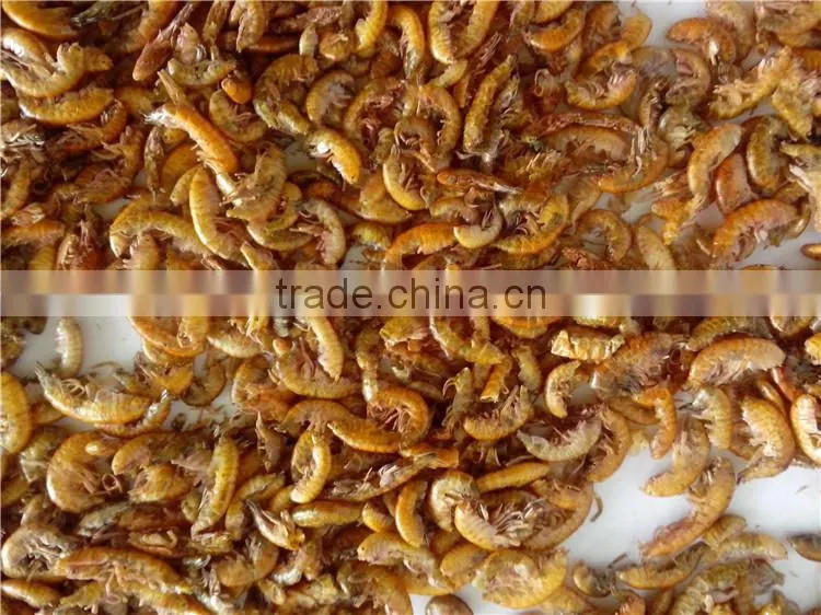 Fish food High Protein freeze 1 cm Dried Gammarus;gammarus for fish