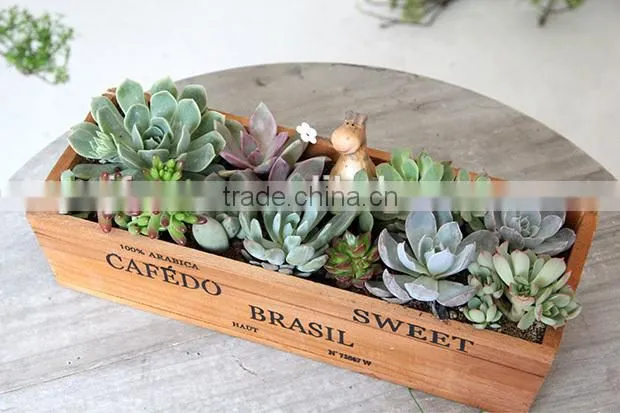 Creative succulent plant rectangle garden woood planter