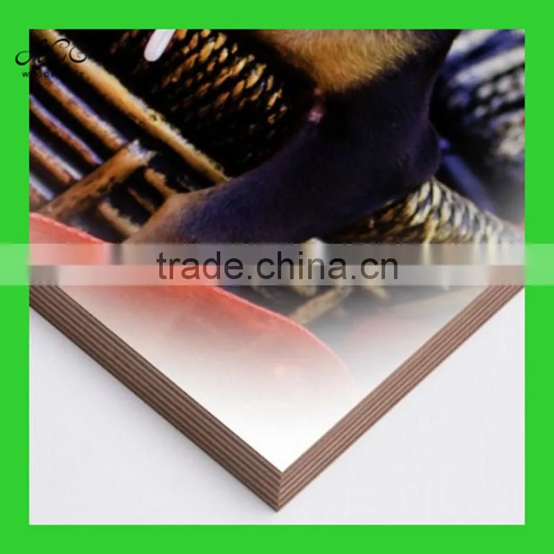 wood printing,print photo on wood,uv printing photo on wood