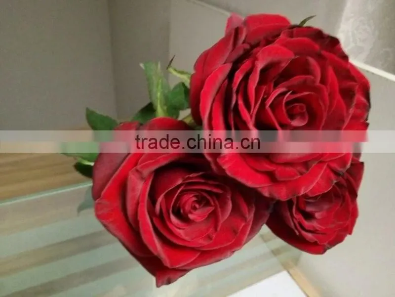 2016 Hot Sale Decorative Rose Flower Valentine's Day Occasion Fresh Cut Rose Flower Single Head
