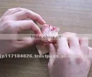 Handmade Folding Paper / Origami