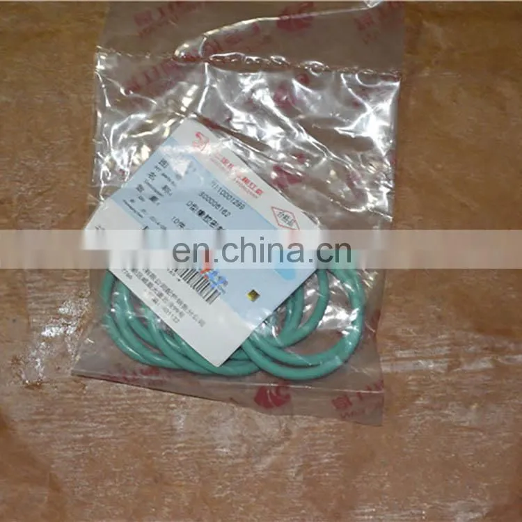 SAIC-IVECO GENELYON parts O Ring seal S00006162