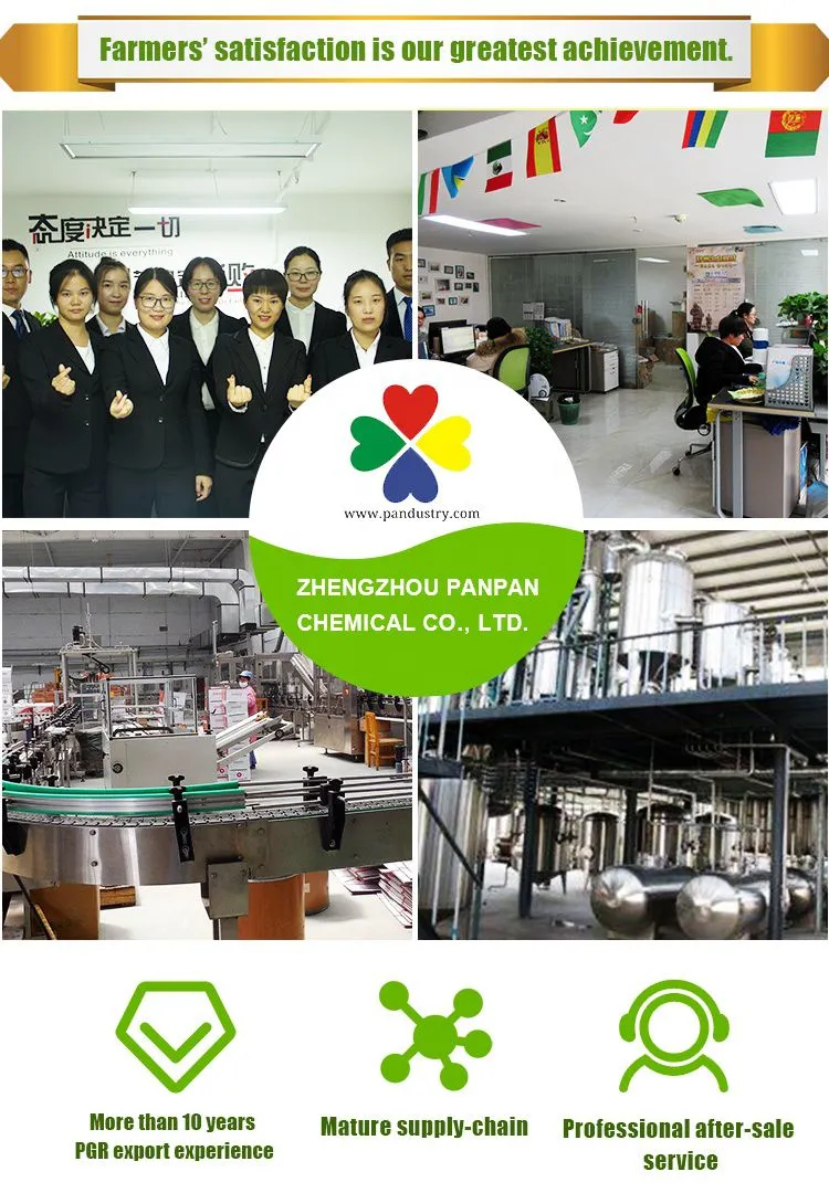 公司 (1).jpg.webp