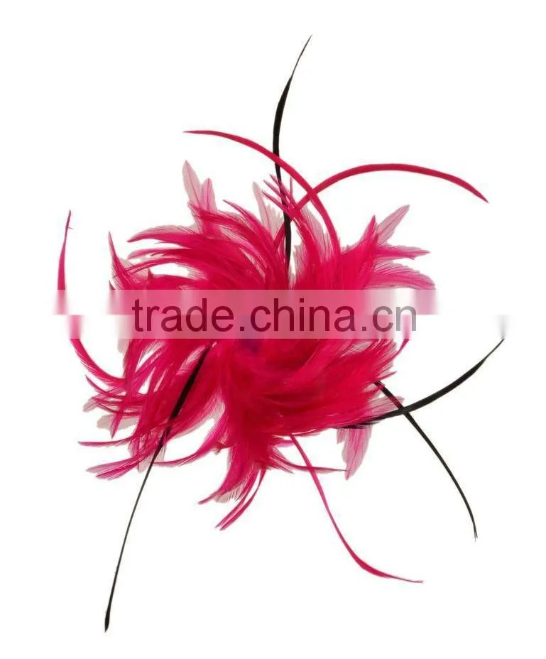 Fancy Feather Hair Fascinator/Clip/Barrettes
