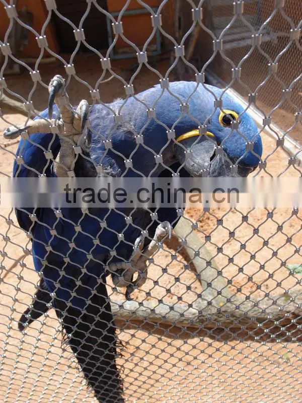 Hebei Shuolong ISO Manufactory export stainless steel wire mesh / mesh fabric