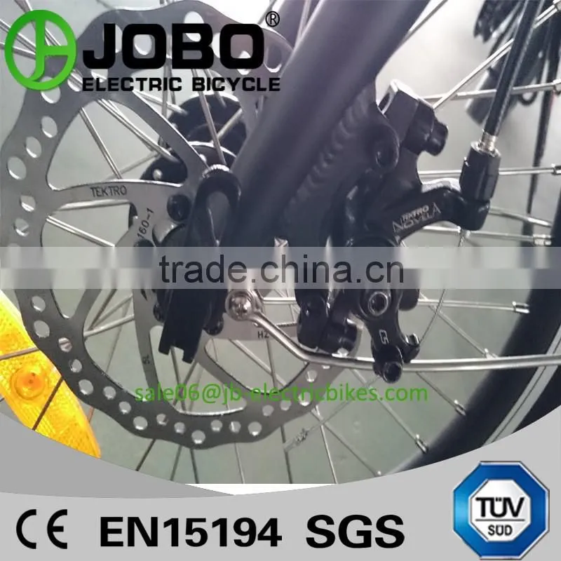 Folding Li-ion Electric Bike 500W Brushless Hub Motor JB-TDN12Z
