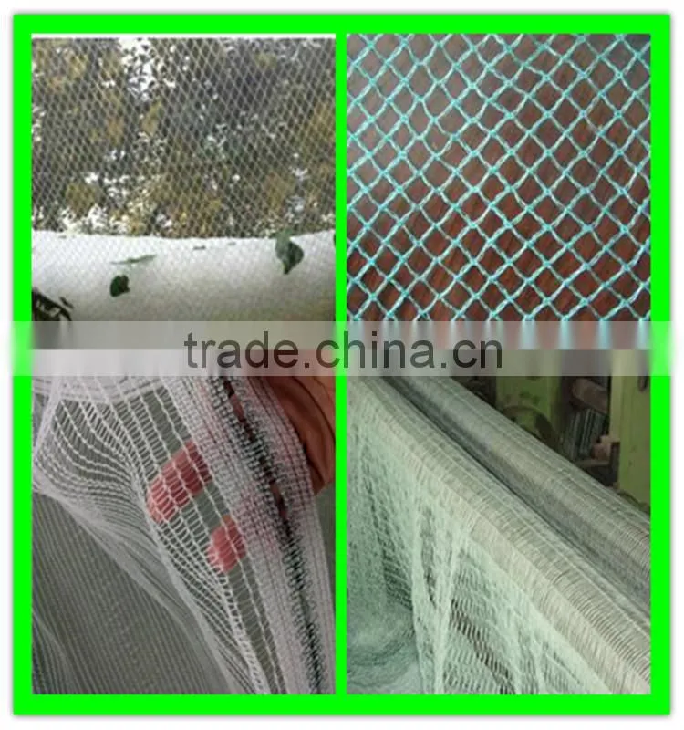 China manufacturer supply various woven hail protection mesh/anti hail structure netting/agriculture hail proof net