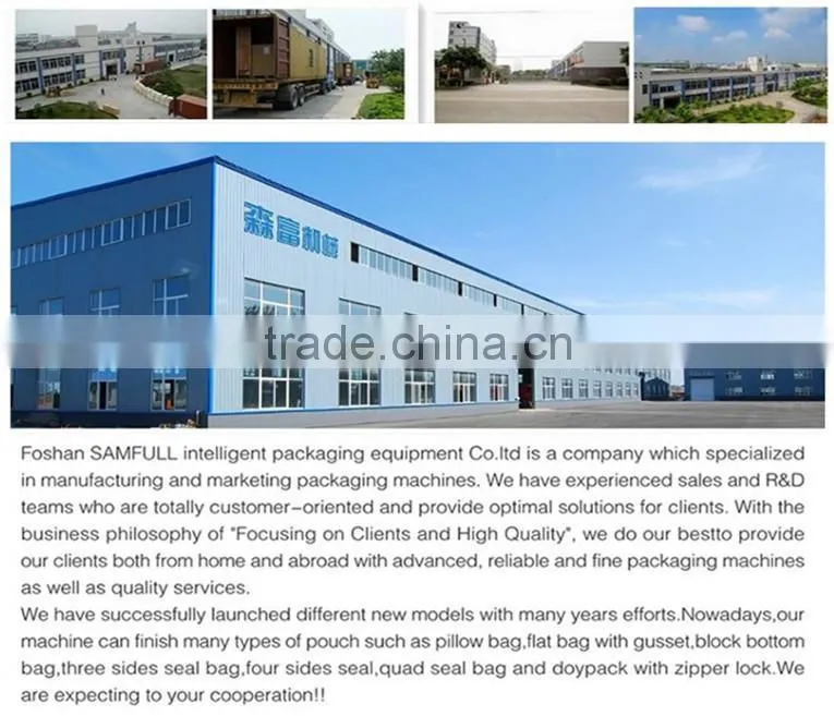 100Bags/Min Back Sealing 50-500Ml Price Of Maize Flour Packaging Machine