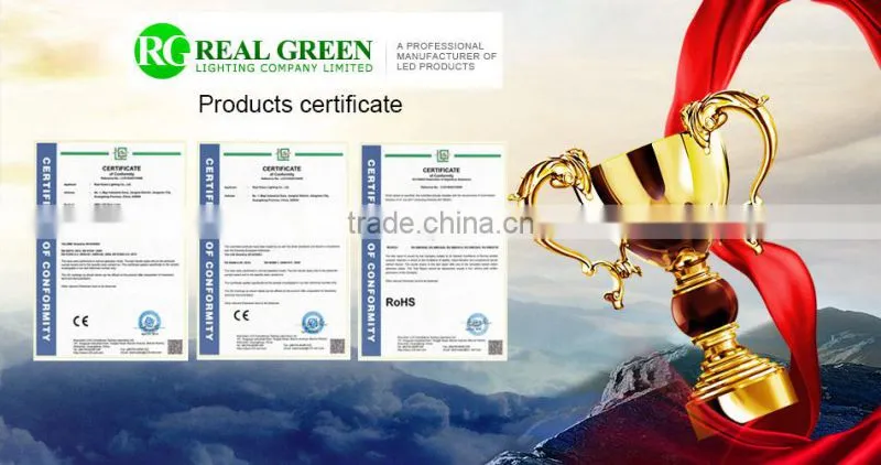 Real Green Colorful Flexible Led Strip Light SMD5050 with 60 LED Per Meter 12V/110V-120V/220V lighting