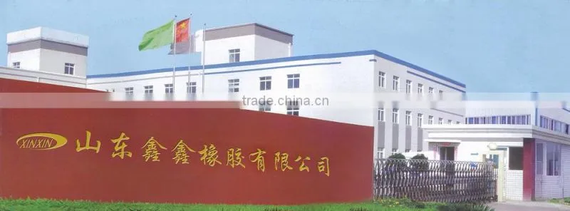 Steel cord conveyor belt for transport belt conveyor