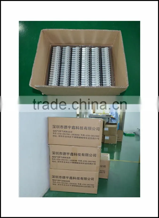 mini Water pump for water dispenser FDA PUMP