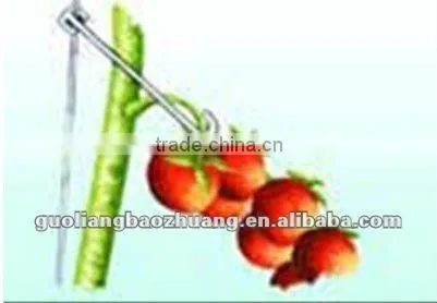 Cheap Tomato Hook