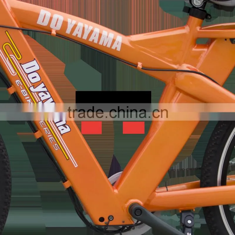 26 inch factory directly mountain electric bike with two battery for euro market