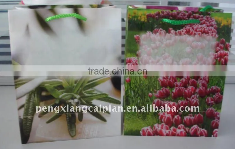 plastic handbag for daily life