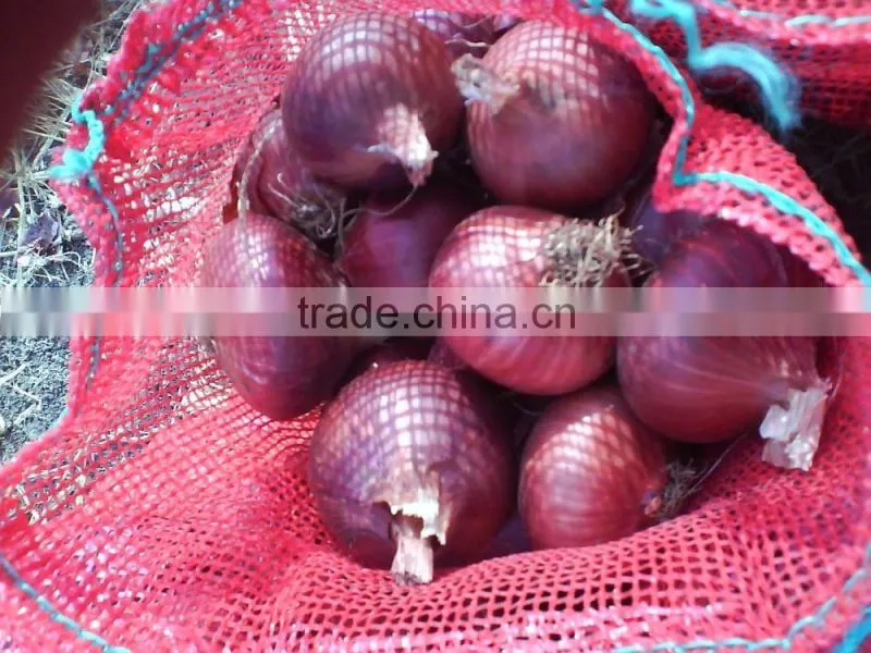 Onion