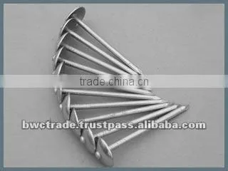 Quality HengLi Nails 3 Iron/Steel Roofing Nail