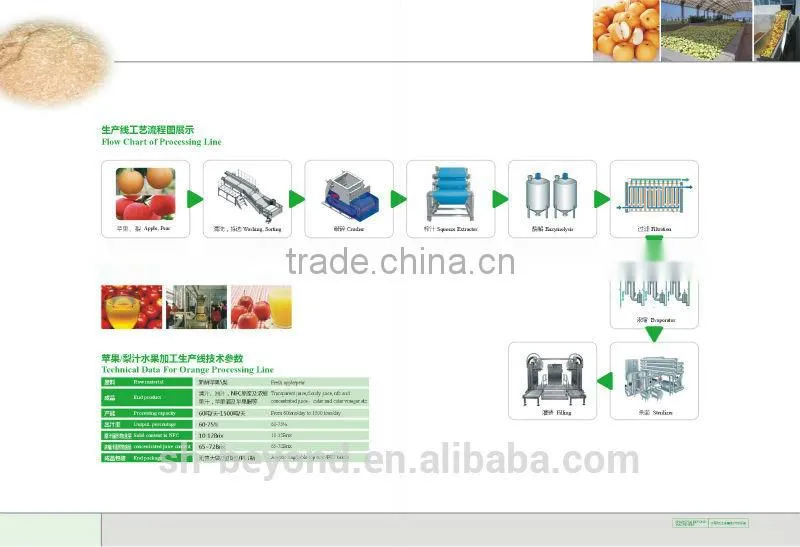 turnkey project of automatic Apple Processing plant