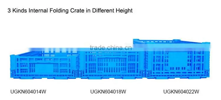 Manufacturing Factory Foldable Tomato Collapsible Plastic Crate