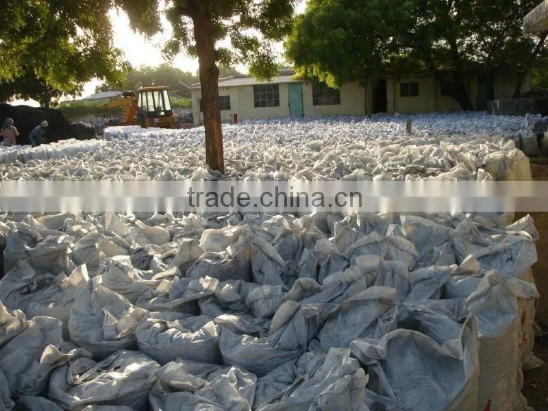 Coconut Shell Charcoal