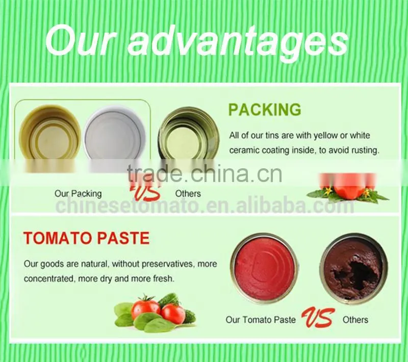 70g Tomato Paste of VEGO Brand Packing in Sachet