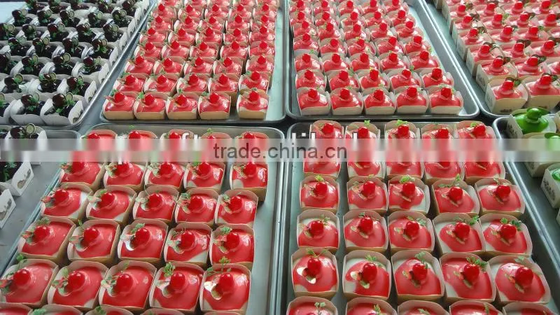 Made In China PVC Ring Crafts