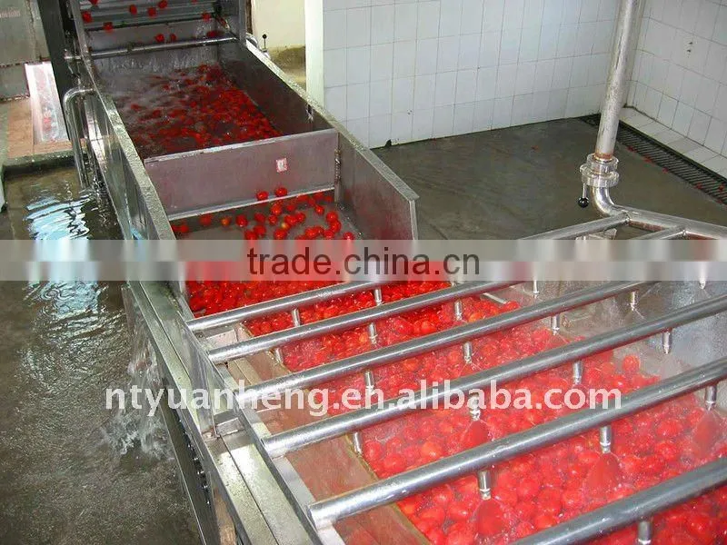 160g cold break canned tomato paste from china,tomato paste glass jar