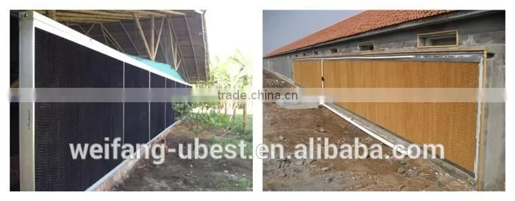 Low price Philippines poultry farm house design broiler chicken raising equipment