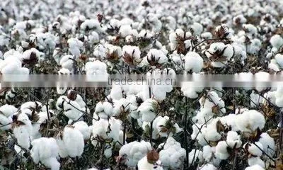 WTseries Rag Tearing Machine,textile tearing machine,textile waste recycling machine