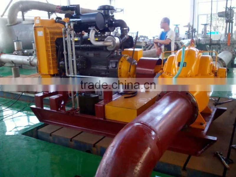 DEFU brand Agricultural irrigation diesel water pump (TPOW/S)