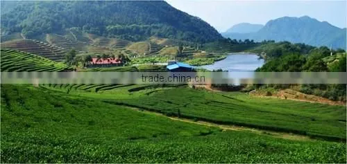 Lowest price supply raw material soil stabilizer for municipal road building