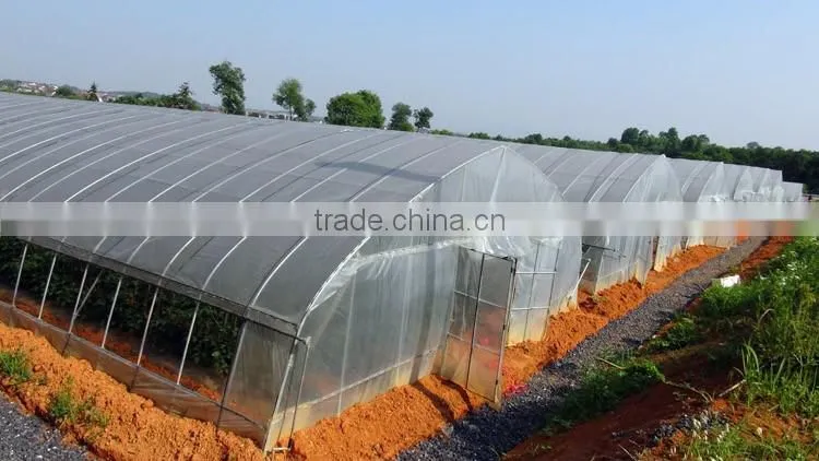 Cheap Tunnel Vegetable Greenhouse With Shading Screen